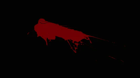 Blood Splatter Stock Footage 130665883