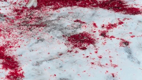 Blood splatter on the snow Stock Footage
