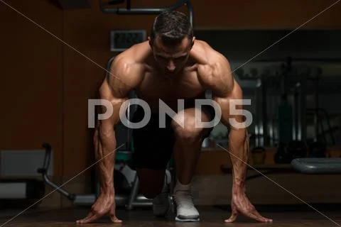 Blood sport Stock Photos