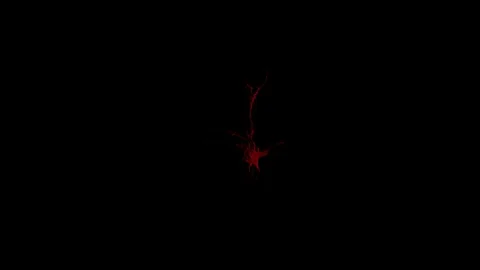 Blood Squib with Alpha Channel Stock Footage 108015420