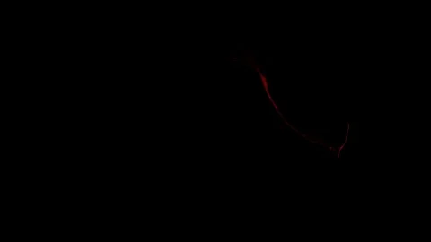 Blood Squib with Alpha Channel Stock Footage 108015436