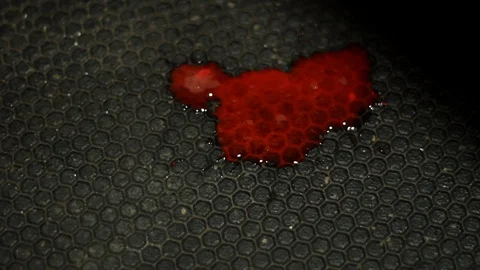Blood Stain on the Floor Stock Footage 103646288
