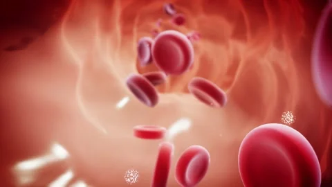 Blood stream Stock Footage 130632048
