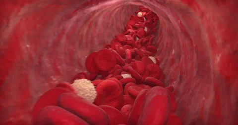 Blood Stream Video stock 137635967