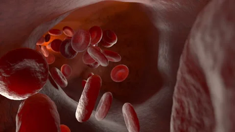 Blood stream Vidéo 218295579