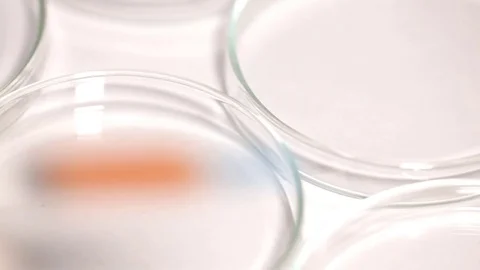 The blood from the syringe 스톡 동영상 72681834