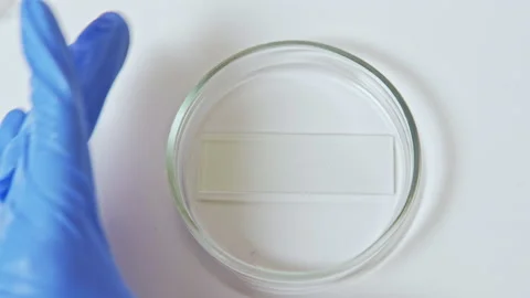 Blood test hands gloves red sample petri pipette Stock Footage 135623715
