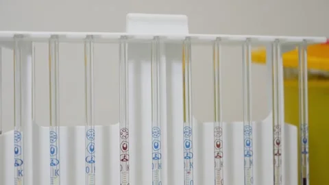 Blood in test tubes in laboratory Stock Footage 261028697
