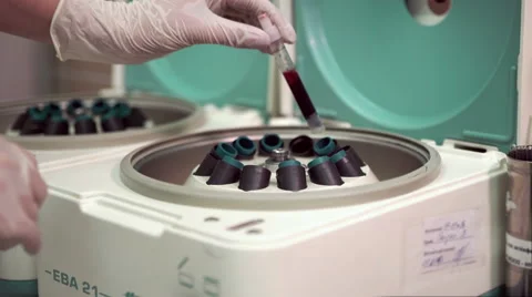 Blood testing and analysis in centrifuge at modern medical laboratory Stock Footage 59509555