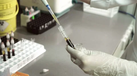 Blood testing and analysis at modern medical laboratory Stock Footage 59510216