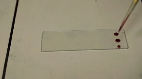 Blood testing and analysis at modern medical laboratory Stock Footage 59517946