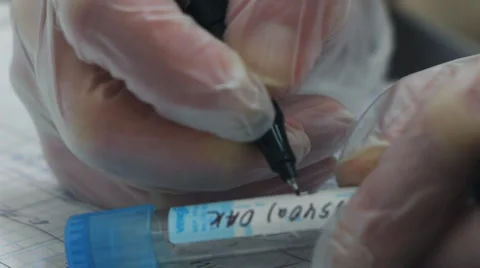 Blood tests in medical laboratory Stock Footage