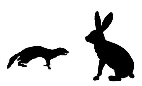 Blood thirsty weasel attack prey rabbit vector silhouette Stock Illustration