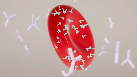 Blood type antigens on red cell surface loop 스톡 동영상 343188516