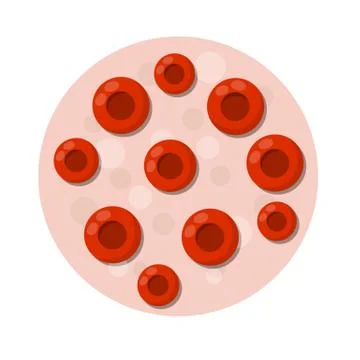 Blood under the microscope. Red cell analysis. Illustrazione stock