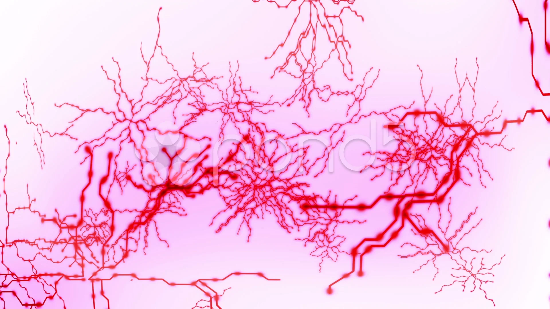blood veins texture
