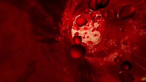 Blood vessels which red objects or molecules move. 스톡 동영상 269444540