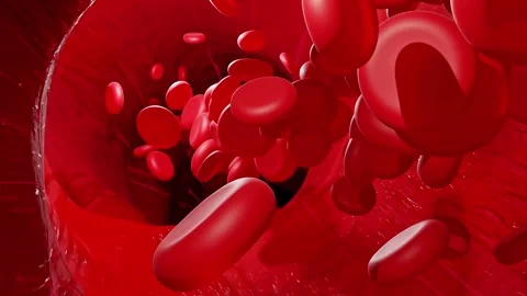 Blood vessels which red objects or molecules move. 動画素材 269444583