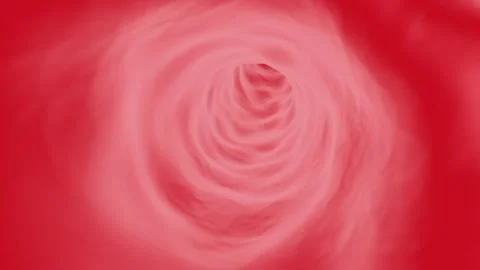 Blood Vessels Without Cells Stock Footage 273229802
