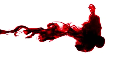 Blood in the water Stock Footage 56568701