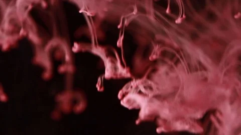 Blood in water Stock Footage 87201356
