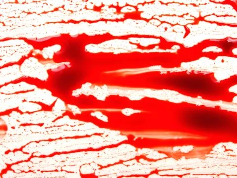 Blood on white Stock Photos