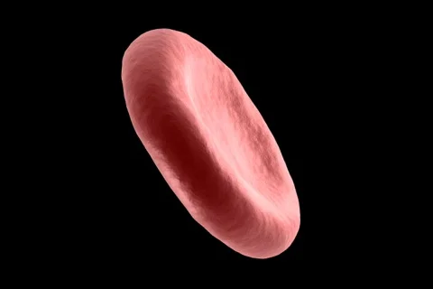 Bloodcell Stock Footage 495411