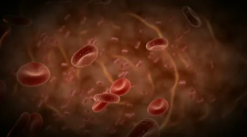 Bloodcell HD 库存影片 2317812
