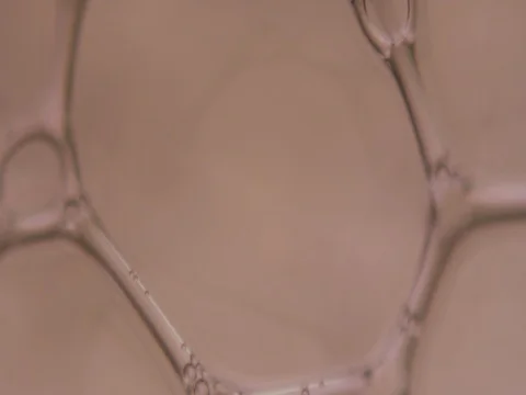 BloodCellClose 動画素材 75540893