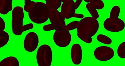 Bloodcells falling slow motion Stock Footage 101601379