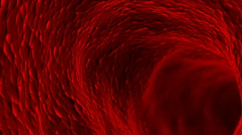 BloodCells2 Stock Footage