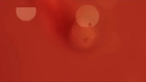 Bloodstream-1 Stock Footage 157399252