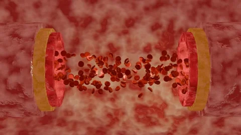 Bloodstream Stock Footage 282371570