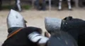 Bloody and horrible battle between two medieval knights at the tournament HD Footage