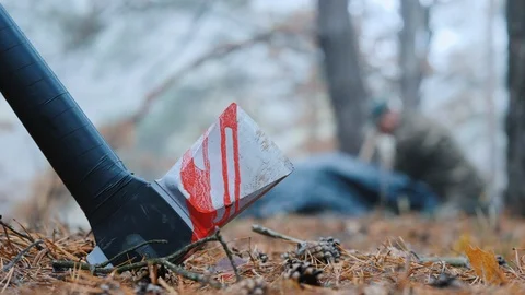 Bloody ax in the forest, in the background the criminal bury his victim Stock-Footage 118856341
