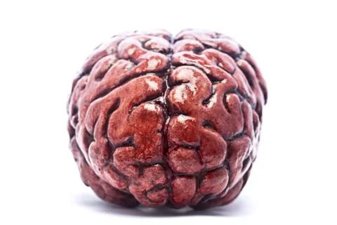 Bloody Brain on White Stock Photos