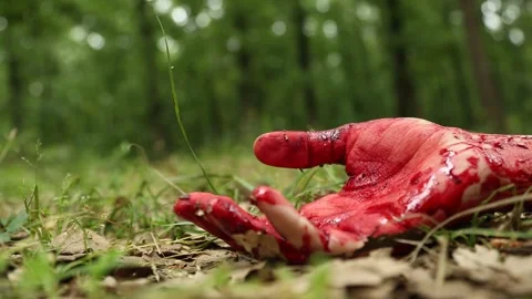 Bloody Hand Falling Down In A Forest Setting Видео 344913081