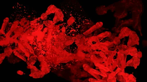 Bloody hands Stock-Footage 47922238
