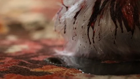 BLOODY HEAD Stock Footage 113322762