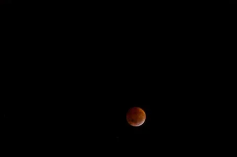 Bloody Moon: The total lunar eclipse of 2019 Fotos Stock