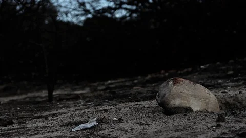 Bloody stone Stock Footage 94256072