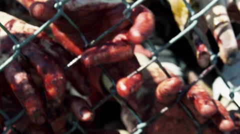 Bloody Zombie Fingers Claw Through A Chainlink Fence. Stock Footage