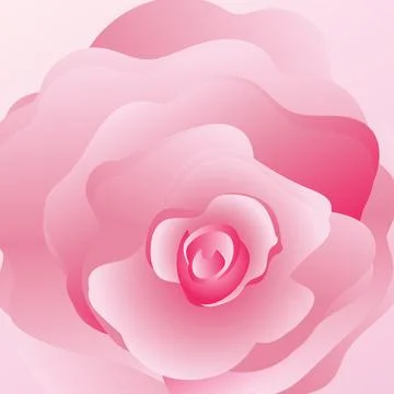 Bloom botanical floral. Pink Background with a rose flower closeup Stock Illustration