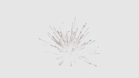 Bloom of firework on alpha background. Stock Footage 321714866