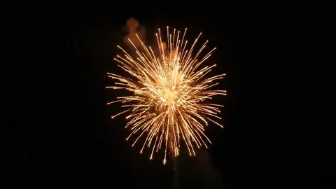 Bloom of firework with dark background	 Stock Footage 317577659