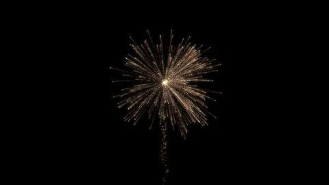 Bloom of firework in dark black background, firework explosion. firework ba.. Stock Illustration