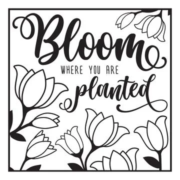 Bloom where plamted quote Stock Illustration
