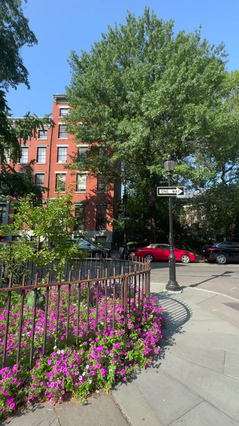 Blooming Abe Lebewohl Triangle in Midsummer, East Village in New York City Stock Footage 346635869
