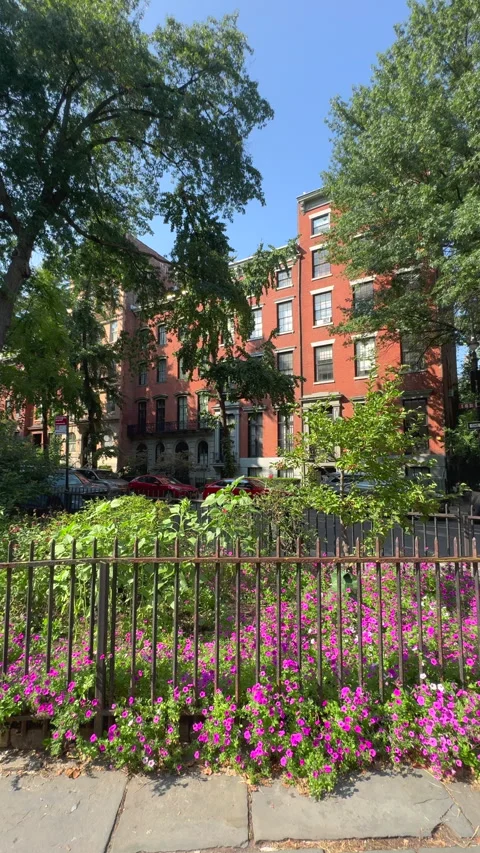 Blooming Abe Lebewohl Triangle in Midsummer, East Village in New York City Stock Footage 346637080