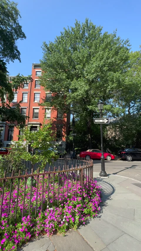 Blooming Abe Lebewohl Triangle in Midsummer, East Village in New York City Stock Footage 346637621
